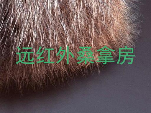 远红外桑拿房