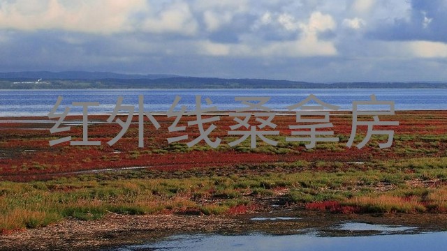 红外线桑拿房