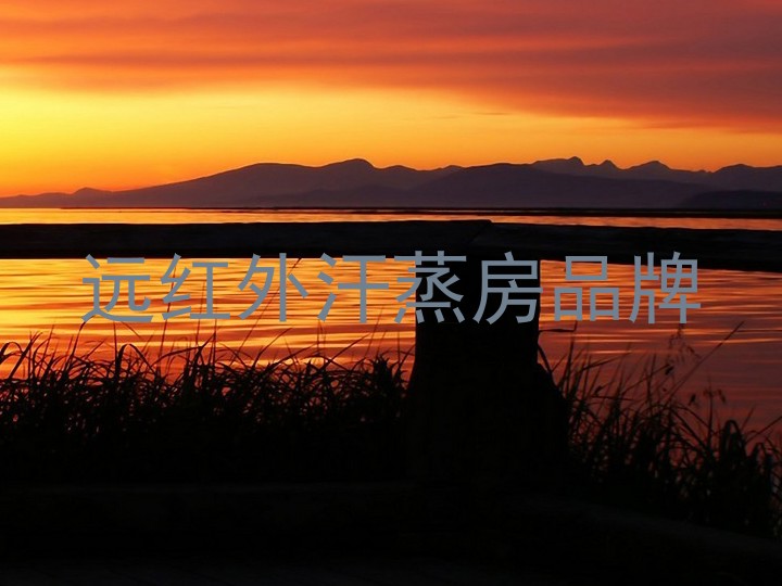 远红外汗蒸房品牌