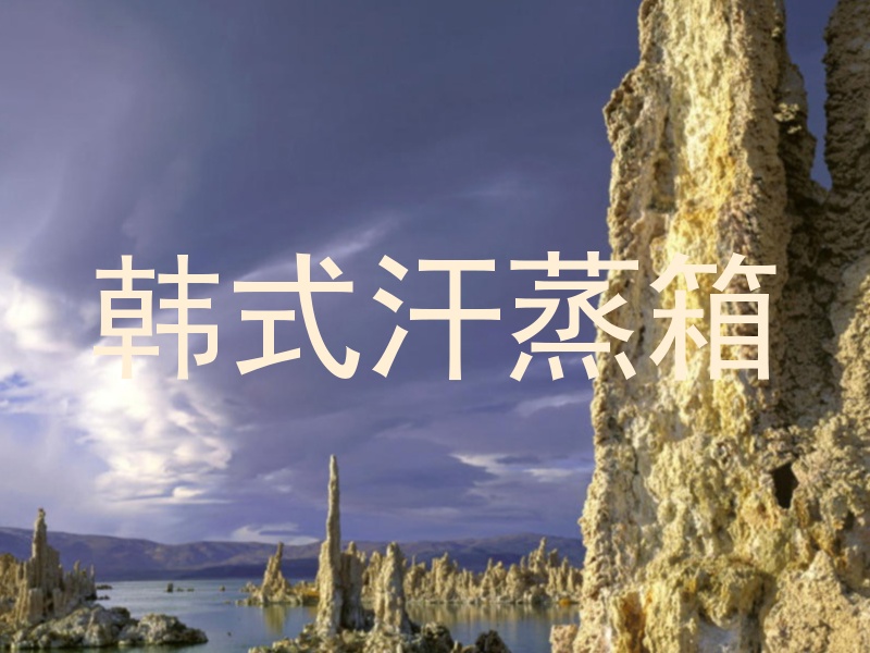 韩式汗蒸箱