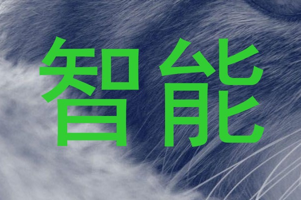 智能