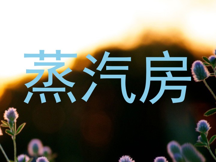 蒸汽房
