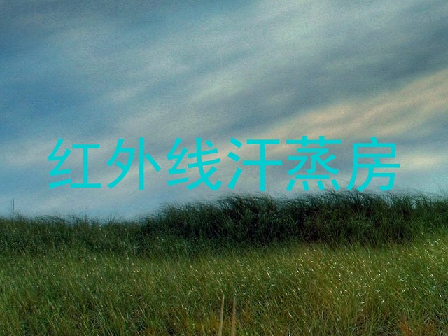 红外线汗蒸房