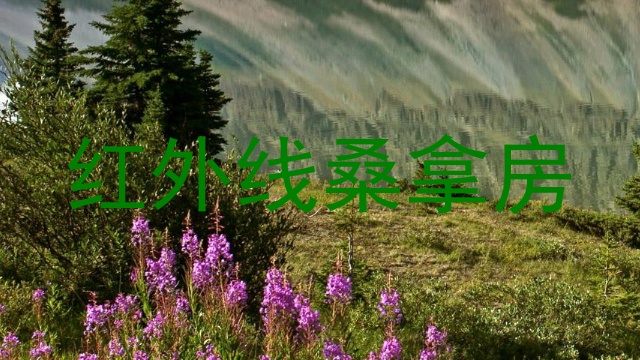 红外线桑拿房