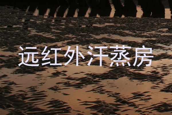 远红外汗蒸房