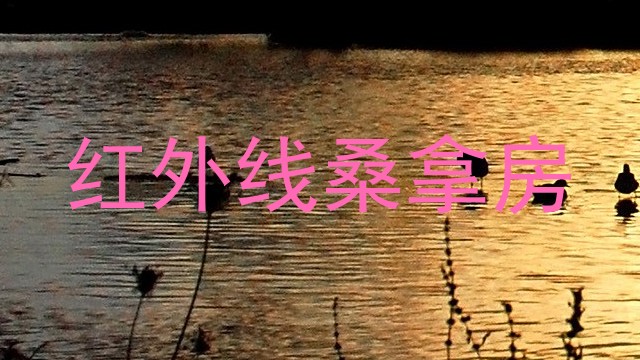红外线桑拿房