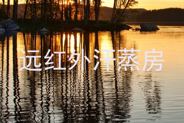 远红外汗蒸房
