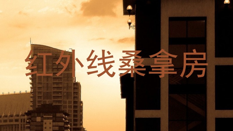 红外线桑拿房