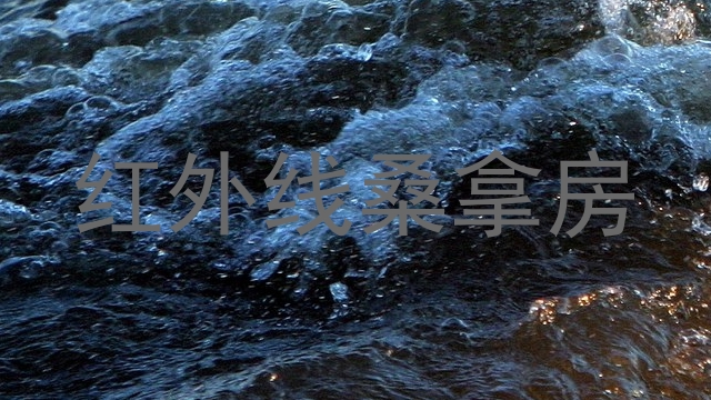 红外线桑拿房