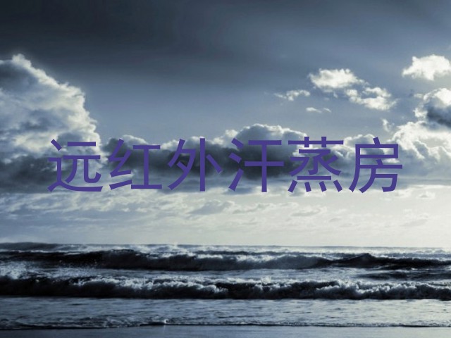 远红外汗蒸房