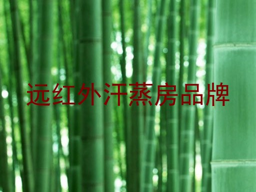 远红外汗蒸房品牌