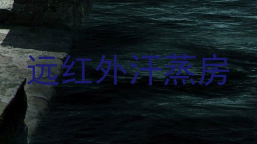 远红外汗蒸房