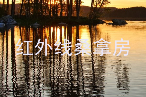 红外线桑拿房