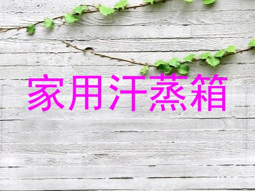 家用汗蒸箱