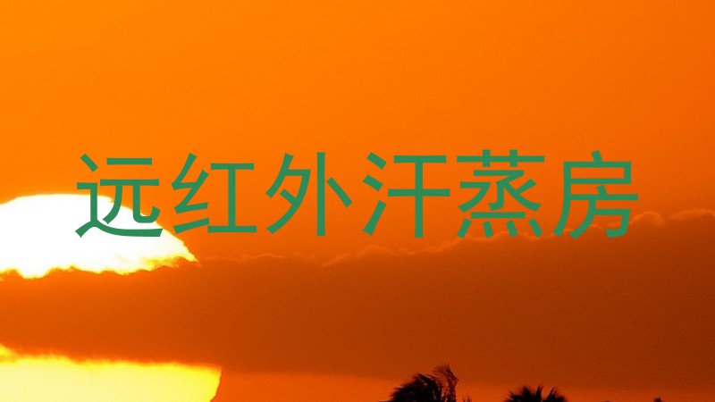 远红外汗蒸房