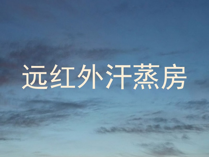 远红外汗蒸房