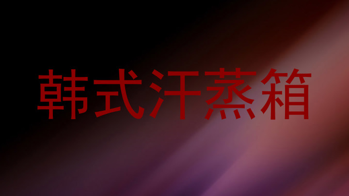 韩式汗蒸箱