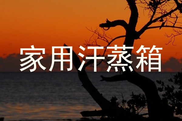 家用汗蒸箱