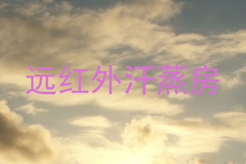 远红外汗蒸房
