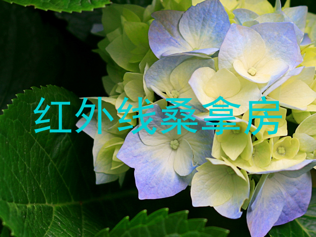 红外线桑拿房