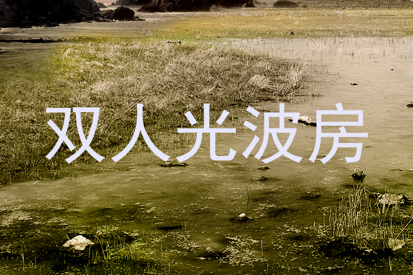 双人光波房