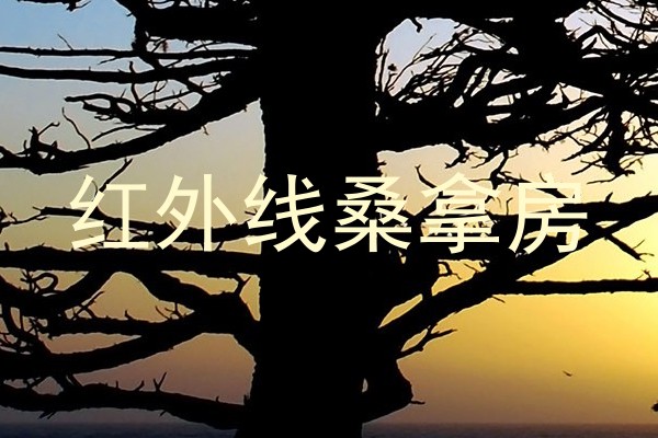 红外线桑拿房