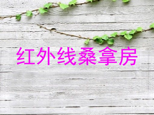 红外线桑拿房