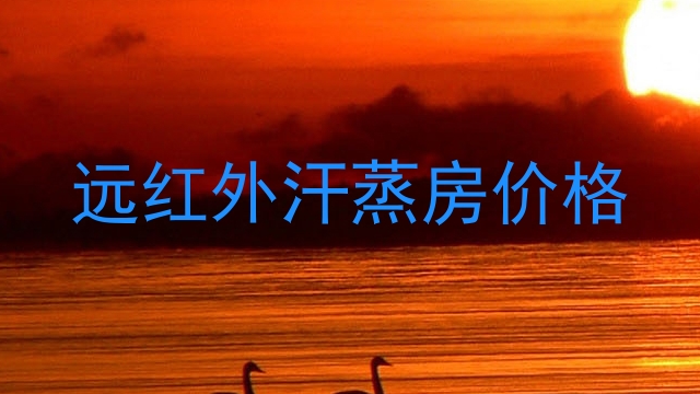 远红外汗蒸房价格