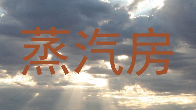 蒸汽房