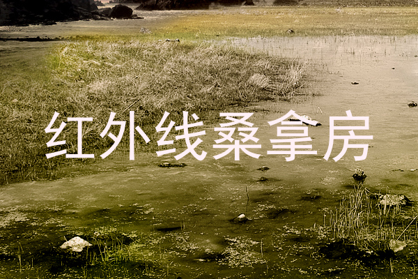 红外线桑拿房