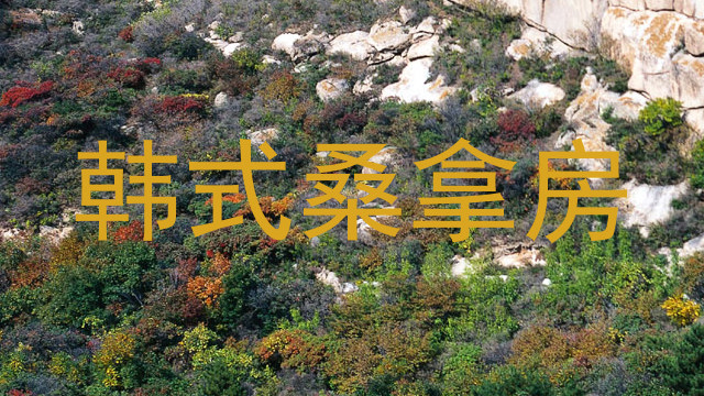 韩式桑拿房