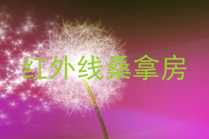 红外线桑拿房