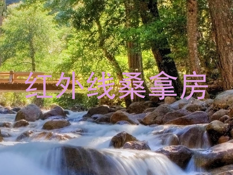 红外线桑拿房