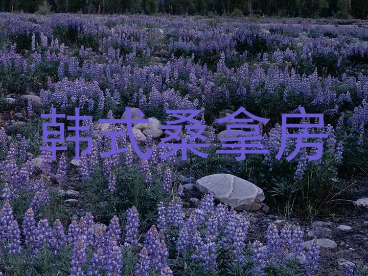韩式桑拿房