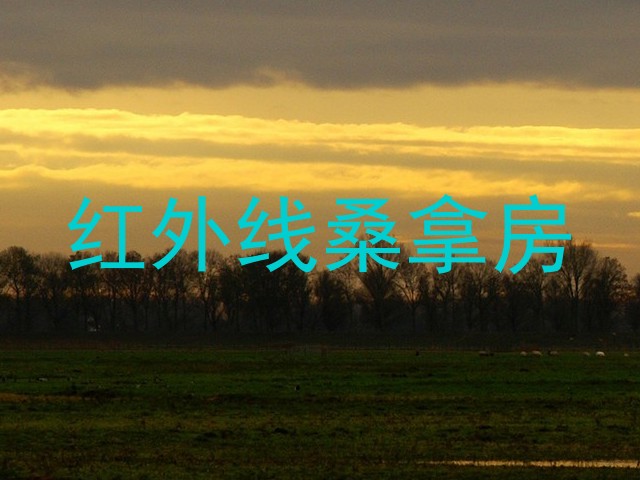 红外线桑拿房