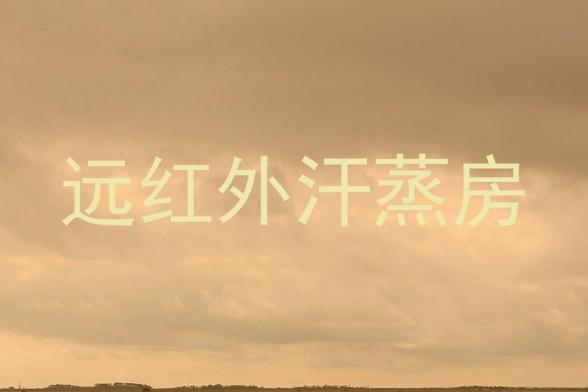 远红外汗蒸房