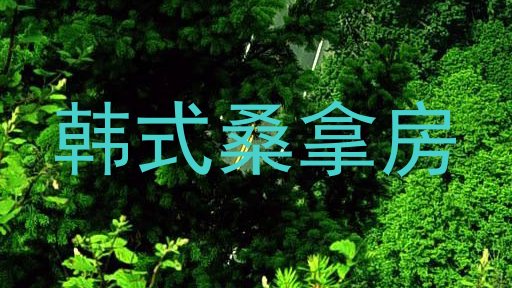 韩式桑拿房