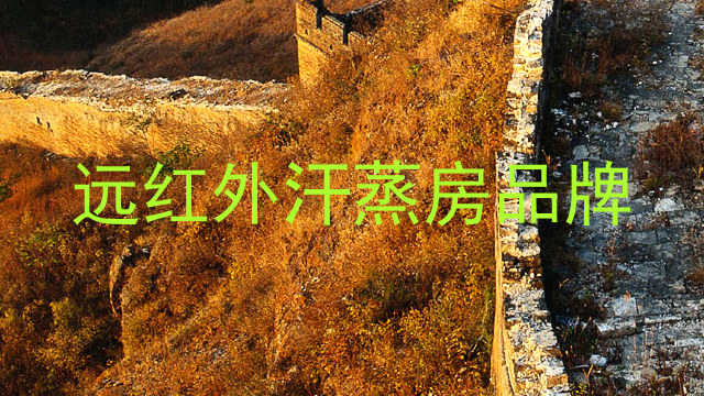 远红外汗蒸房品牌