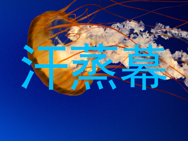 汗蒸幕