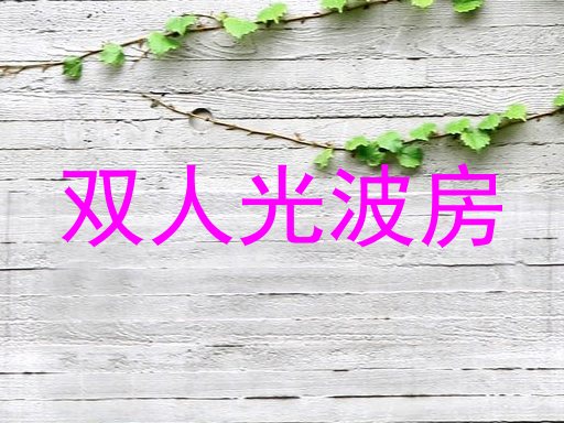 双人光波房