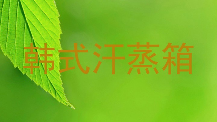 韩式汗蒸箱