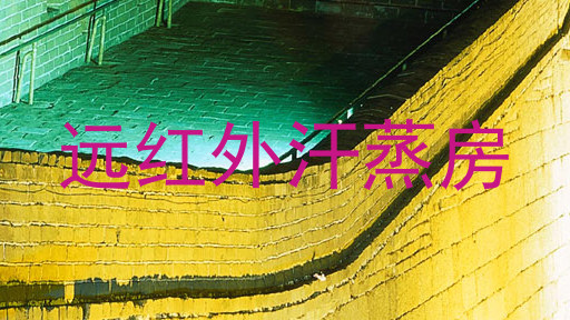 远红外汗蒸房
