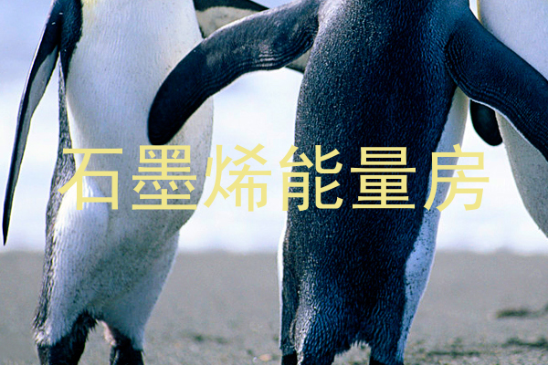 石墨烯能量房