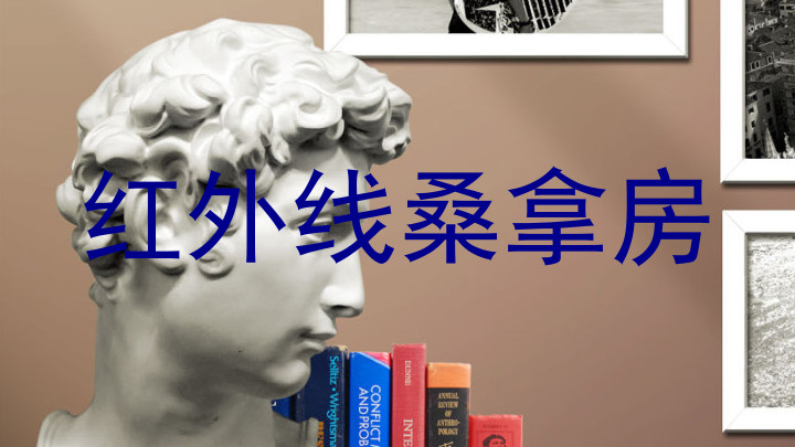 红外线桑拿房