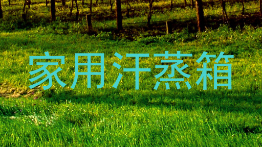 家用汗蒸箱