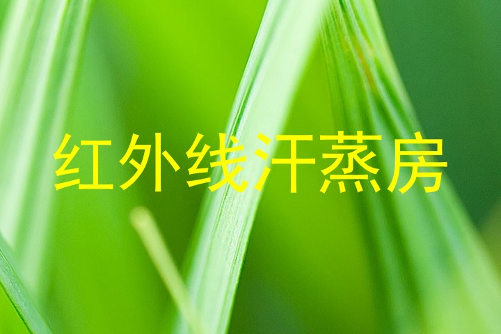 红外线汗蒸房