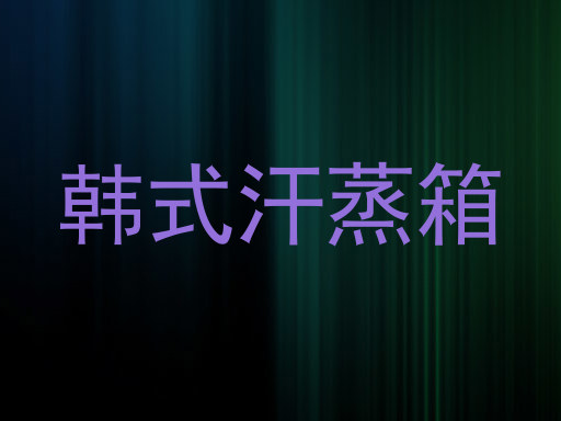 韩式汗蒸箱