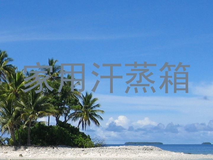 家用汗蒸箱