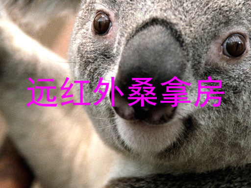 远红外桑拿房