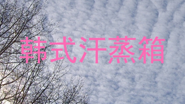 韩式汗蒸箱